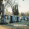 Download track Graveyard