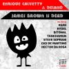 Download track James Brown Is Dead (Steve Soprani Remix)