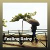 Download track Calming Rain