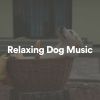 Download track Relaxing Dog Music, Pt. 14