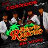 Download track Con Tus Besos Y Caricias (En Vivo)