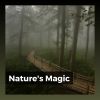 Download track Soundscapes Of Nature Melodies, Pt. 45