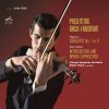 Download track Paganini - Violin Concerto No. 1 In D Major, Op. 6 - I. Allegro Maestoso