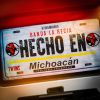 Download track Puro Michoacan