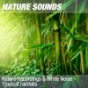 Download track Nature Sounds For Sleeping & Deep Meditation (Light Rainforest Rain & Thunder) 16