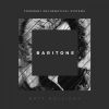 Download track Baritone (Original Mix)