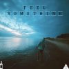 Download track Feel Something