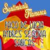 Download track Sentimiento Flamenco