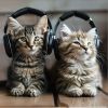 Download track Calming Cat Echoes