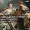 Download track Sonata No. 12 K. 332 In F Major: III Allegro Assai'