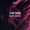 Download track Night Waves (Original Mix)