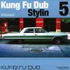 Download track Kung Fu Dub Stylin Vol 5 Continuous Mix
