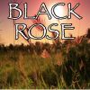 Download track Black Rose - Tribute To Volbeat And Danko Jones (Instrumental Version)