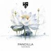 Download track Pandilla