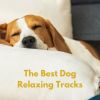 Download track Finally My Dog Relax