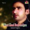 Download track Tou Hamaye Nabedara Damka