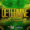 Download track Real Yardman