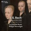 Download track 11 - Jesu, Meine Freude, BWV 78- Coro ''Jesu, Der Du Meine Seele''