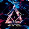 Download track What I Need (Original Mix)