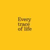 Download track Every Trace Of Life