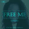 Download track Free Me (Mthi Wa Afrika's Afrosoul Feel)