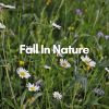 Download track Nature Rain, Pt. 6