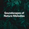 Download track Soundscapes Of Nature Melodies, Pt. 40