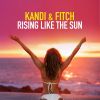 Download track Rising Like The Sun