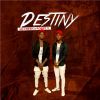 Download track Destiny