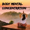 Download track Healing Meditation