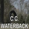 Download track C. C. Waterback - Tribute To Merle Haggard And George Jones (Instrumental Version)