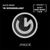 Download track In Wonderland (F. E. M Remix)