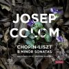 Download track 03. Chopin - Piano Sonata No. 3 In B Minor, Op. 58 - III. Largo