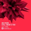 Download track Still There's You (A. R. D. I. Remix)