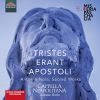 Download track Ecce Nunc Benedicite No. 2: IV. Gloria Patri'