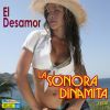 Download track El Desamor (Vilma)