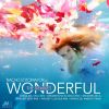 Download track Wonderful (Marga Sol Ambient Rmx)