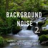 Download track Mountain Mossy Fresh Brook Soundscape, Pt. 17