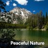 Download track Nature Lover