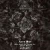 Download track Ants Riot (Original Mix)