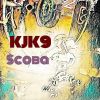 Download track Skoba