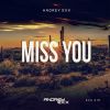 Download track Miss You (Radio Edit)