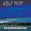 Download track Sombre