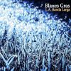 Download track Blaues Gras