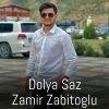 Download track Dolya Saz