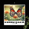 Download track Yalnız Kaldım