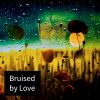 Download track Bruised By Love (Soft Remix)