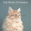 Download track Background For Relaxing Your Cat