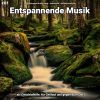 Download track Entspannende Musik Pt. 6