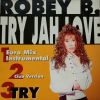 Download track Try Jah Love (Club Version)